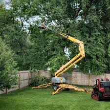 Best Commercial Tree Services  in Sun Village, CA