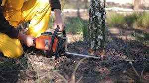 Best Lawn Drainage Solutions  in Sun Village, CA