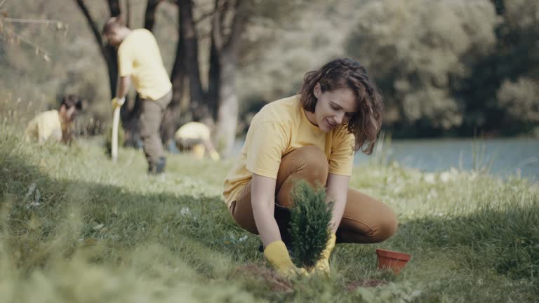 Best Organic Lawn Care Solutions  in Sun Village, CA